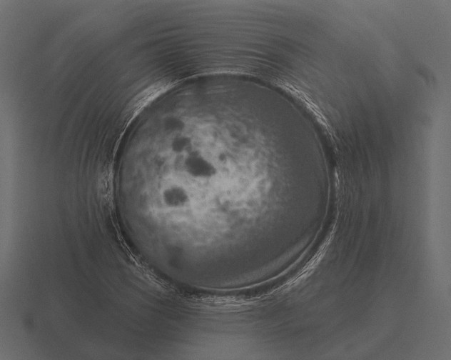 X0000116551121200912241550