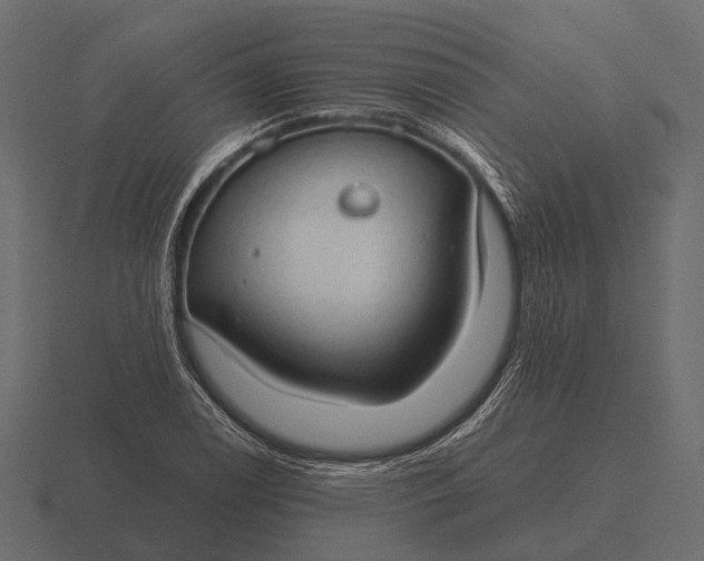 X0000116551122200912241550