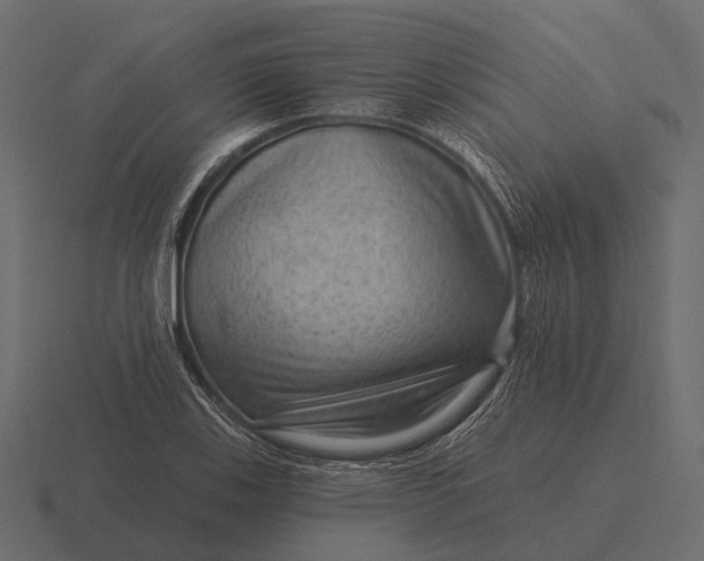 X0000116551123200912241550