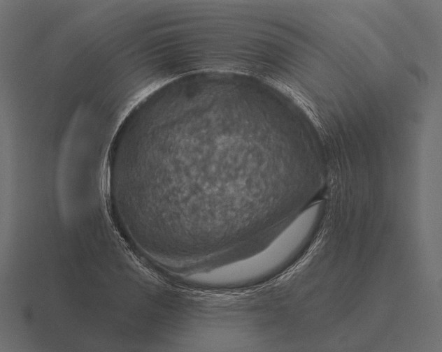 X0000116551125200912241550