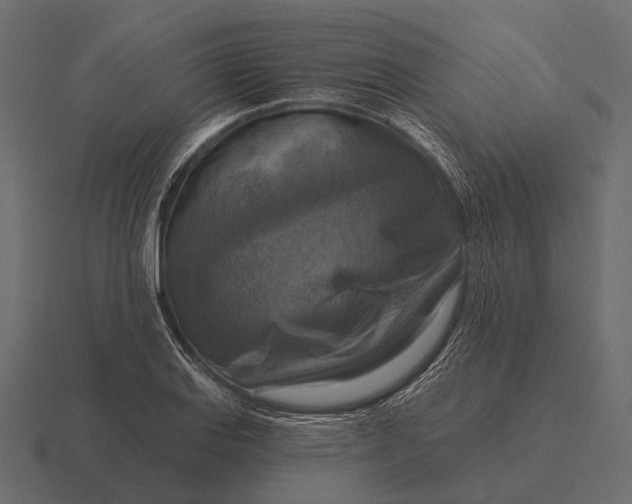 X0000116551127200912241550