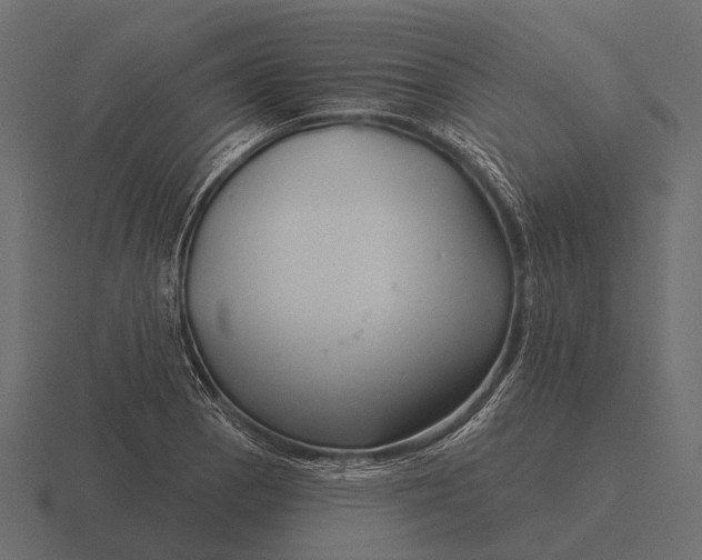 X0000116551129200912241550