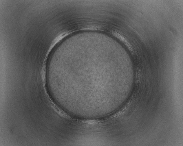 X0000116551130200912241550