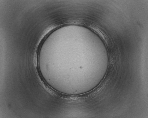 X0000116551131200912241550