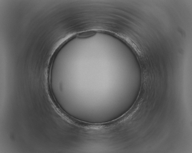 X0000116551134200912241550