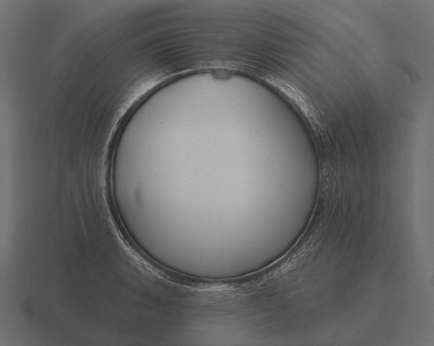 X0000116551135200912241550