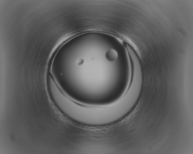 X0000116551138200912241550