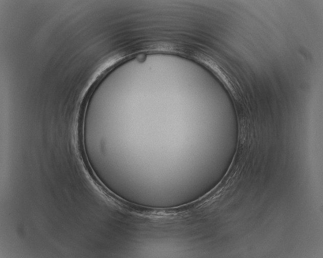 X0000116551139200912241550