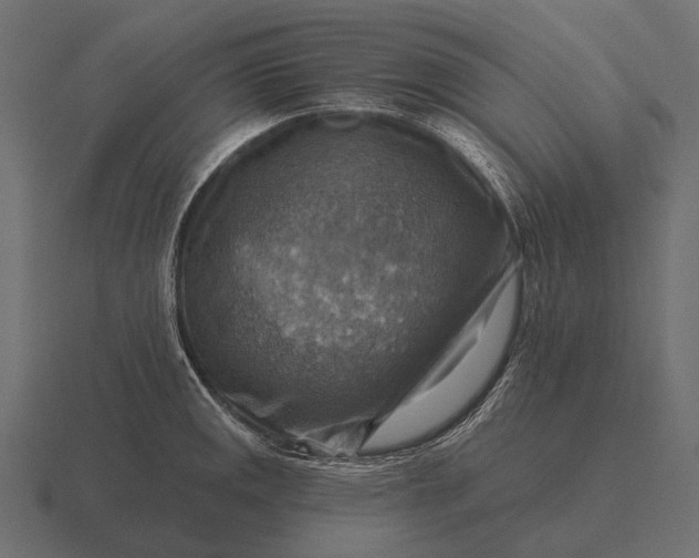 X0000116551141200912241550