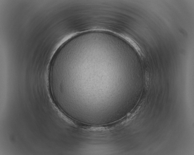 X0000116551142200912241550