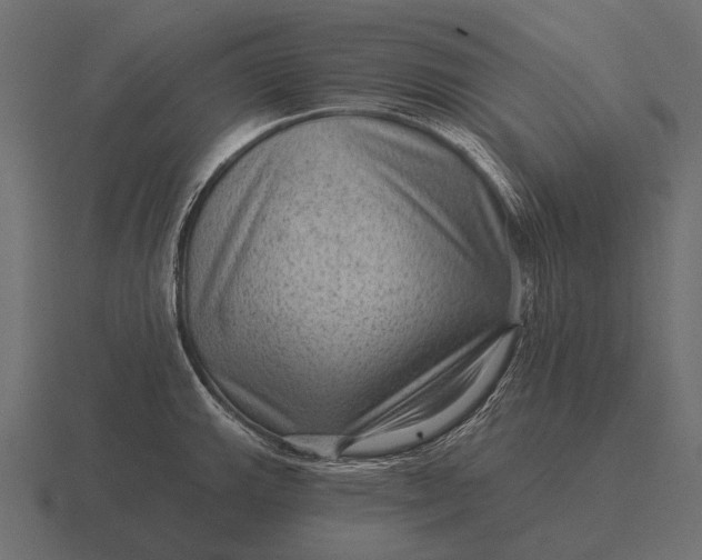 X0000116551143200912241550