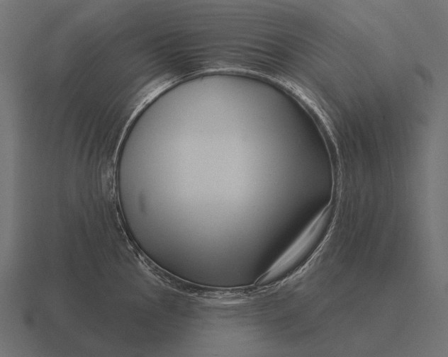 X0000116551145200912241550