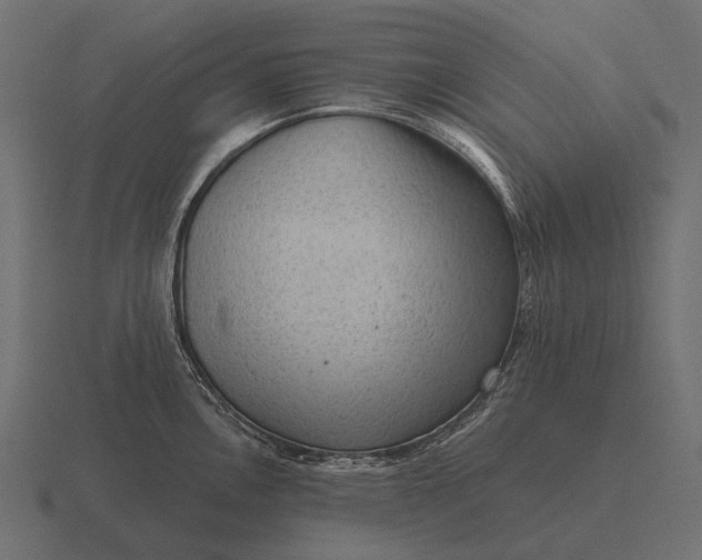 X0000116551146200912241550