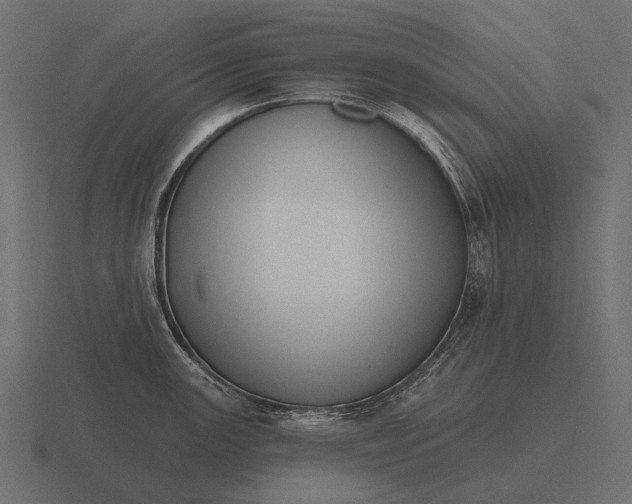 X0000116551147200912241550