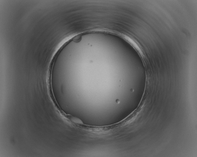 X0000116551149200912241550