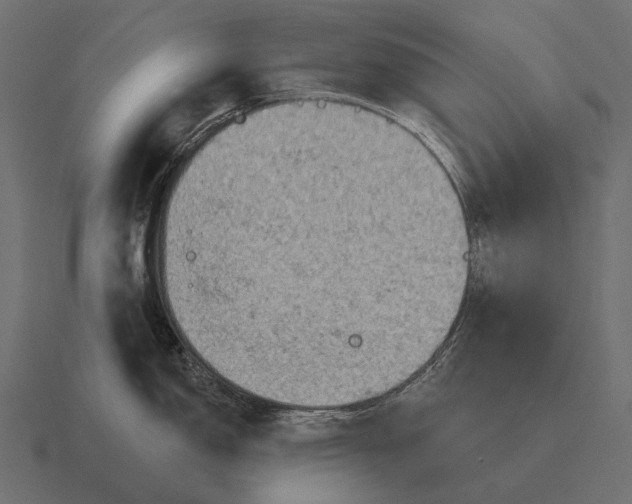 X0000116551150200912241550