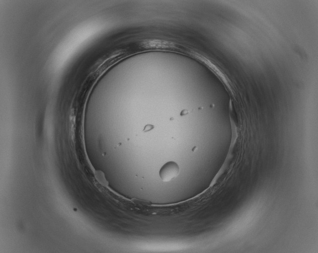 X0000116551151200912241550