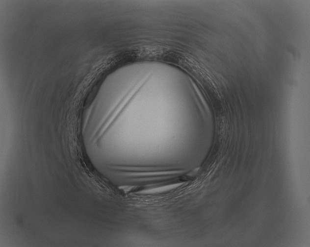 X0000116551153200912241550