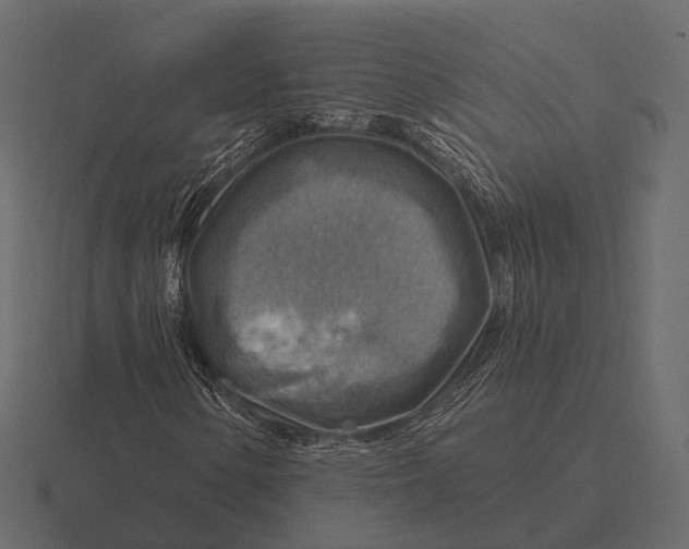 X0000116551154200912241550