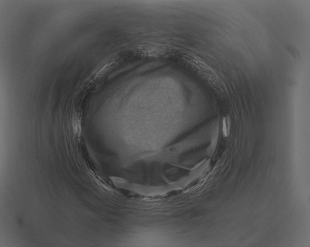 X0000116551155200912241550