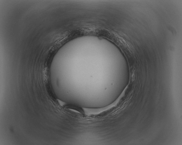 X0000116551156200912241550