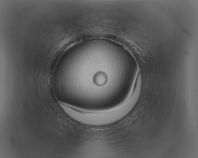 X0000116551157200912241550