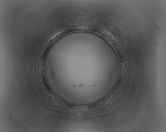 X0000116551158200912241550