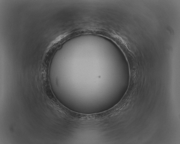 X0000116551159200912241550