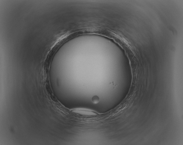 X0000116551160200912241550