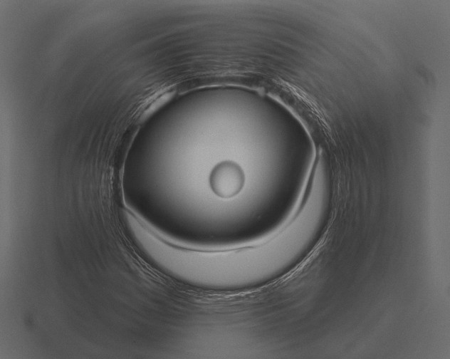 X0000116551161200912241550