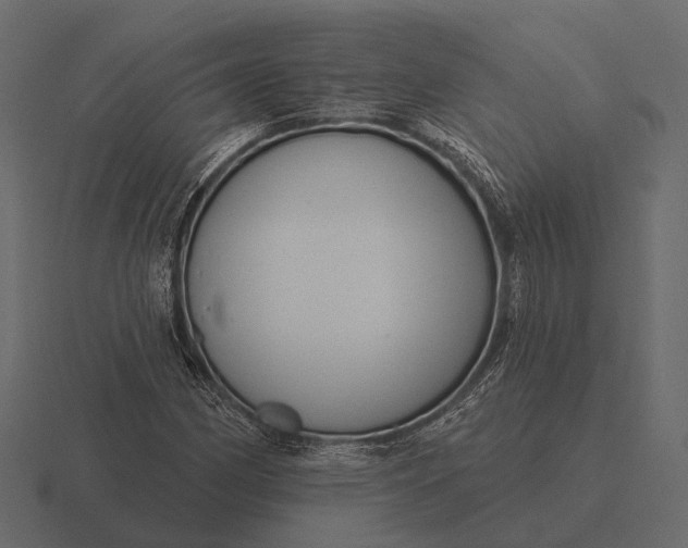 X0000116551162200912241550