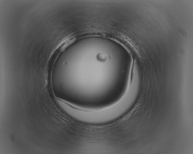 X0000116551165200912241550