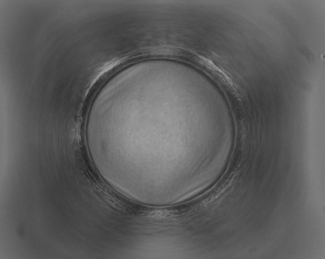 X0000116551166200912241550