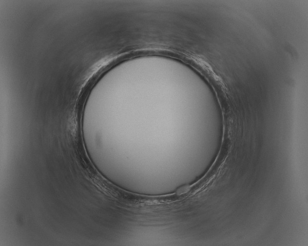 X0000116551167200912241550