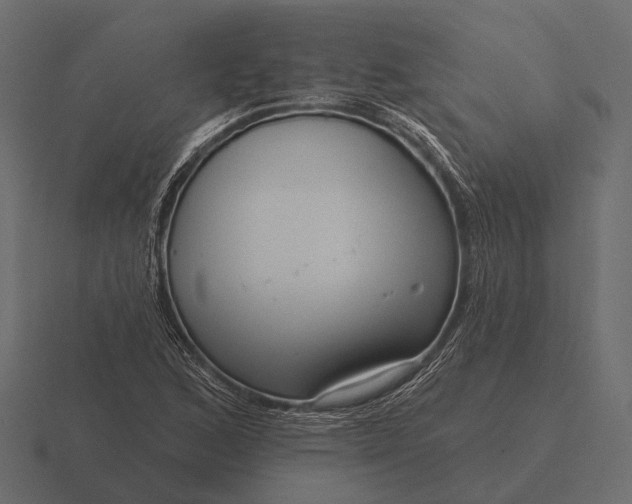 X0000116551168200912241549