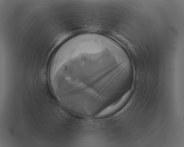 X0000116551170200912241549