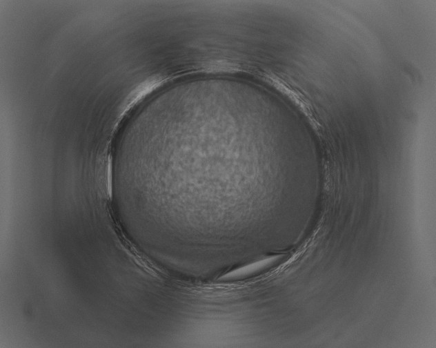 X0000116551171200912241549