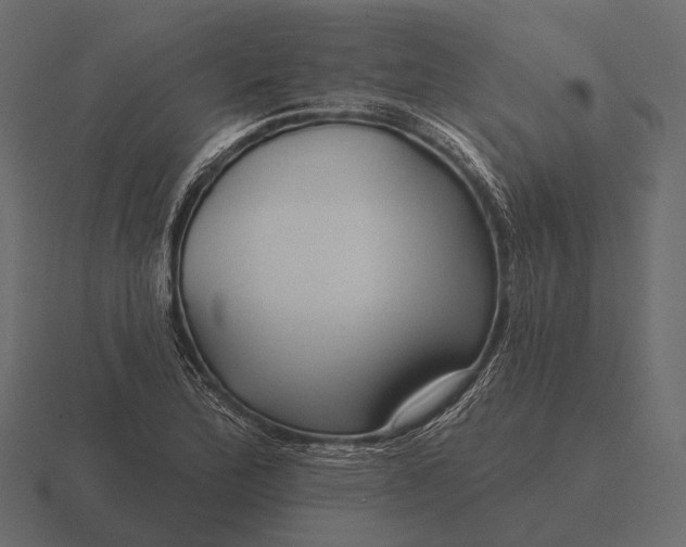 X0000116551172200912241549