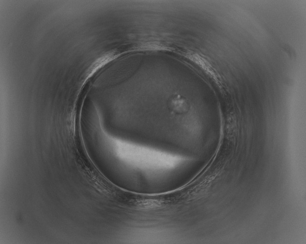 X0000116551173200912241549