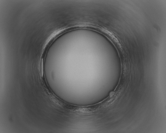 X0000116551175200912241549