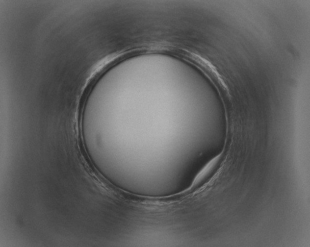 X0000116551176200912241549