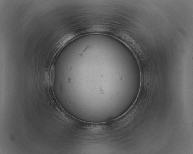 X0000116551177200912241549