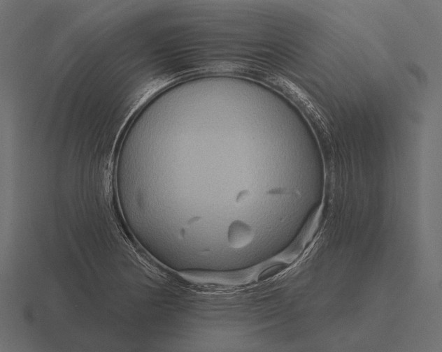 X0000116551178200912241549