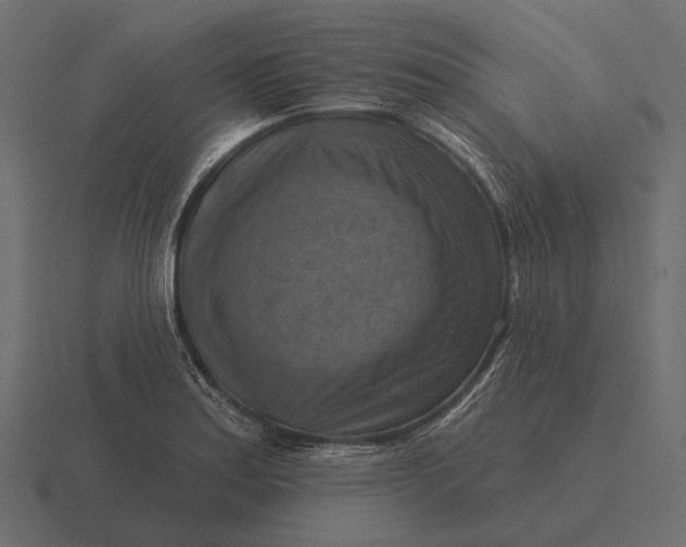 X0000116551179200912241549