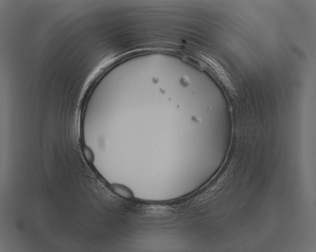 X0000116551180200912241549