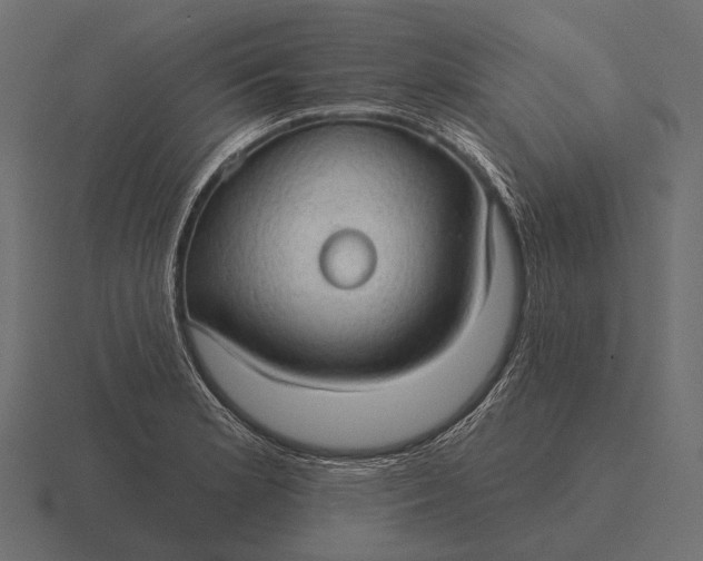 X0000116551181200912241549