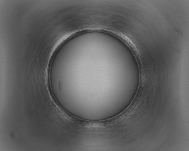 X0000116551183200912241549