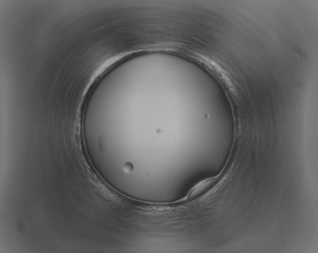 X0000116551184200912241549