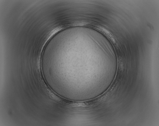 X0000116551186200912241549