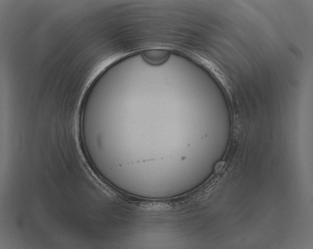 X0000116551187200912241549